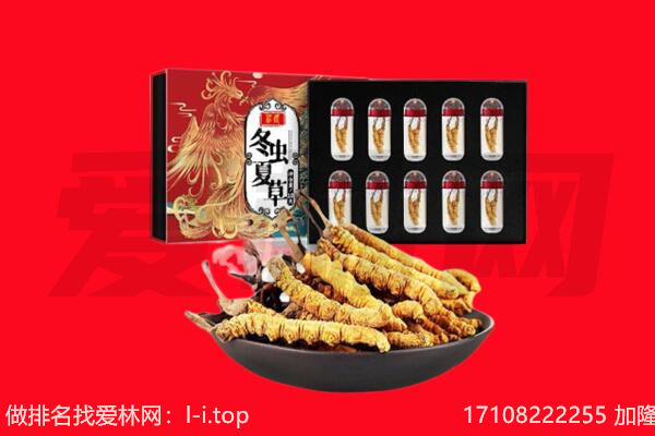 濮阳回收虫草.jpg